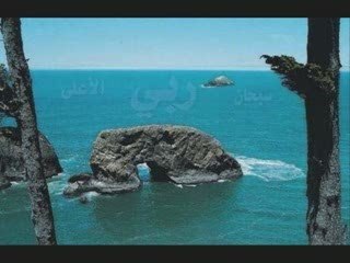 La place de l' homme dans l' univers. 2 - Pr. Hani Ramadan.