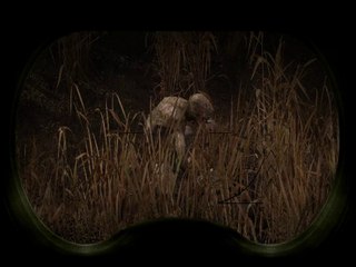 S.T.A.L.K.E.R. Clear Sky : The Swamp Creature - Bloodsucker