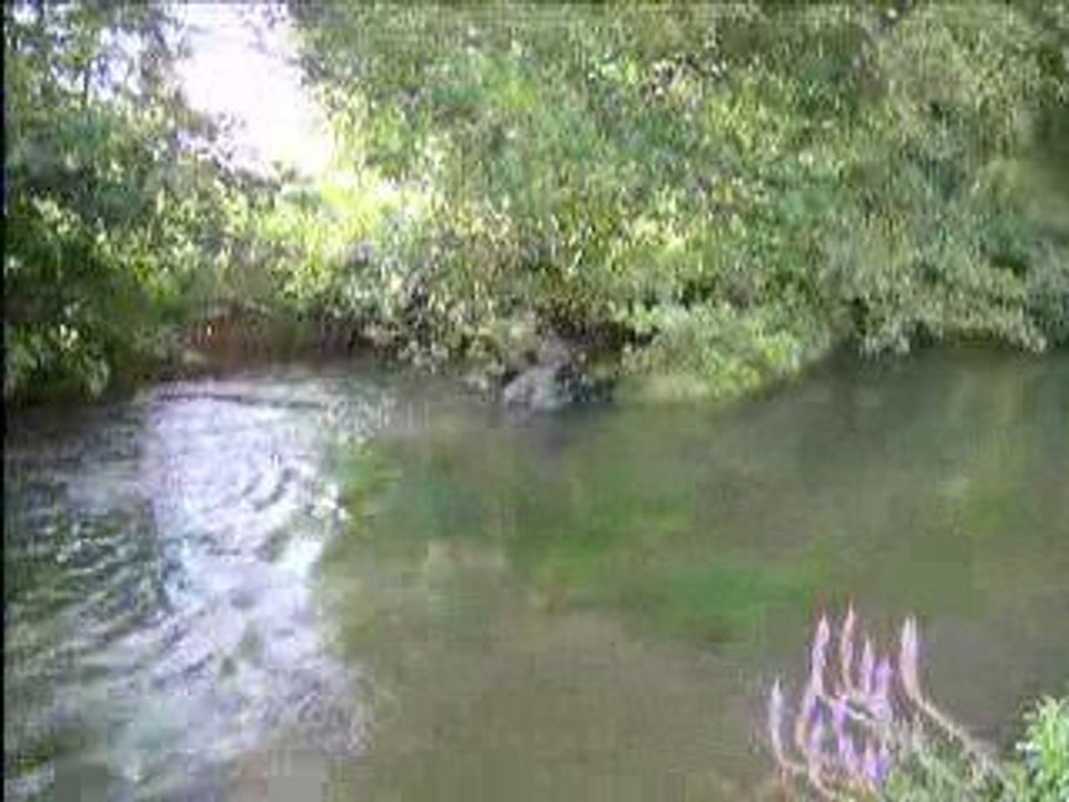 paintball en milieu humide