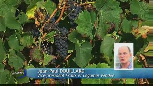 Coup dur pour les producteurs de fruits et légumes