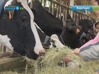 Une ferme expérimentale aux portes de Paris