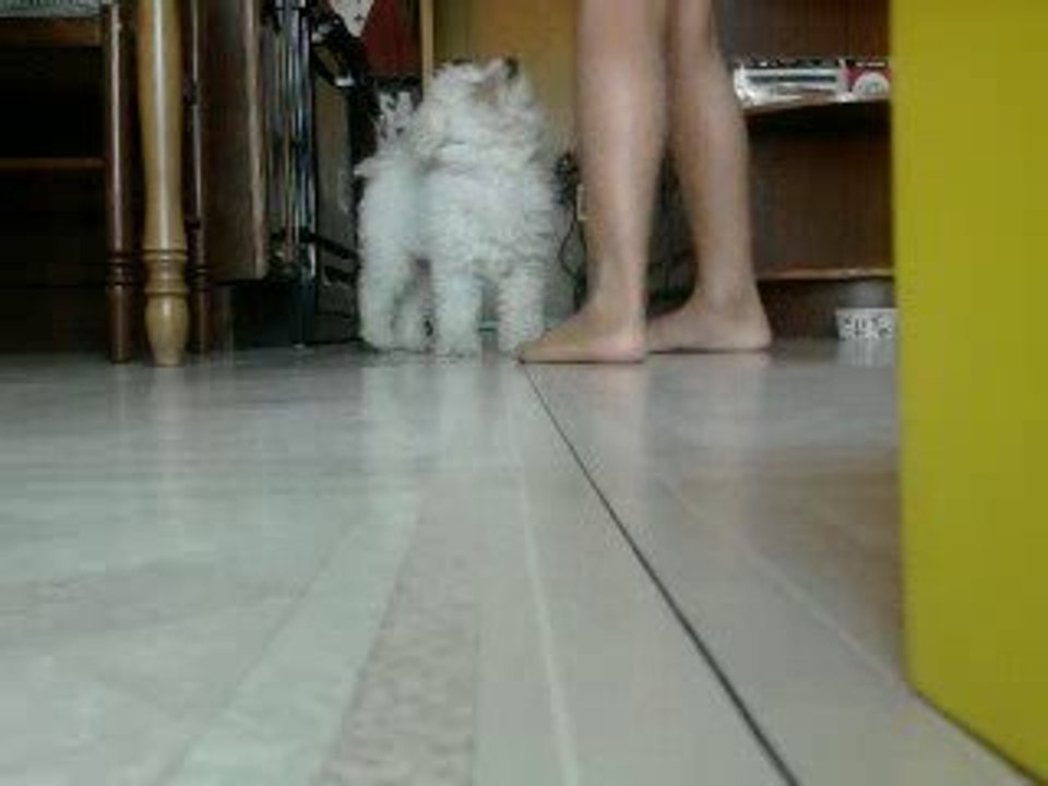 Agility