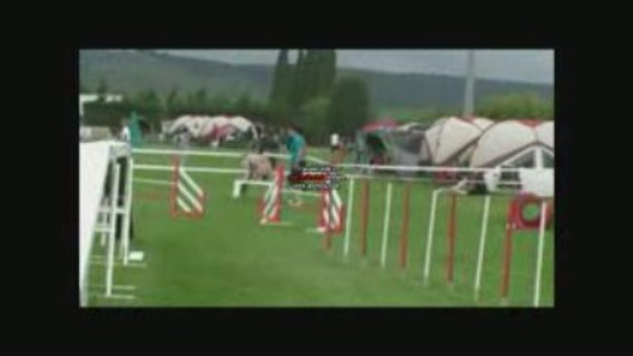 lezigan agility dimanche