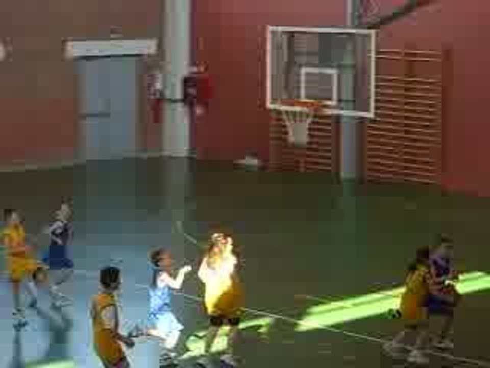 Amandine basket