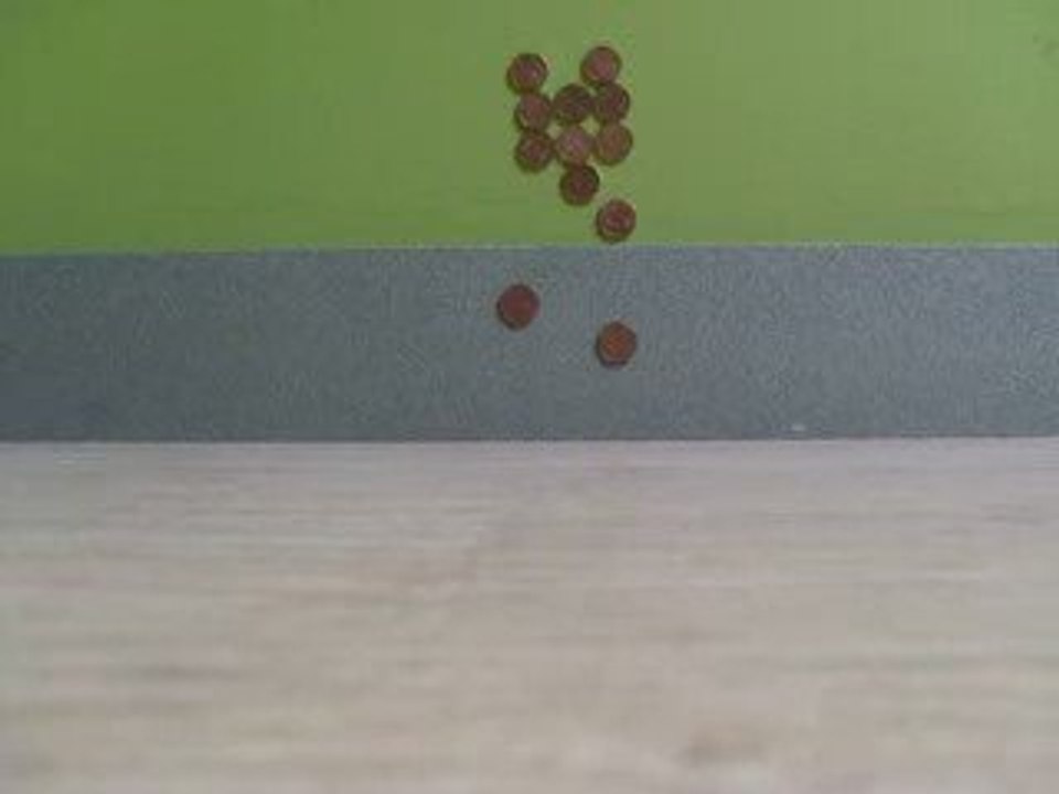 Arcade Pièce / Stop Motion