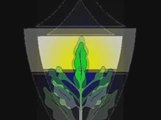 HEP DESTEK TAM DESTEK