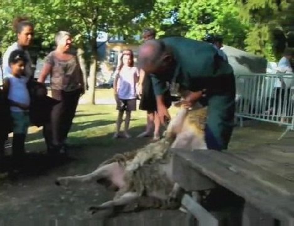 On rase gratis à Bagnères