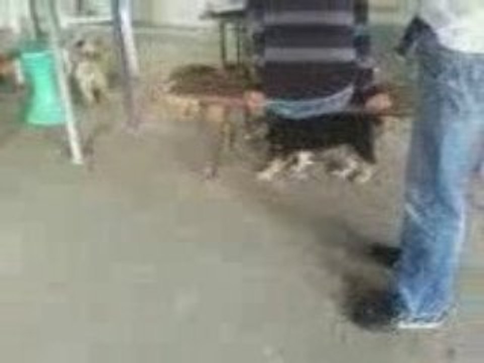 Sana la nouvelle grilladine lol !!!!!!!!!!!!!!