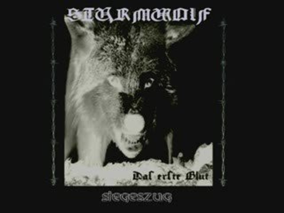 Sturmwolf - 03. Siegeszug