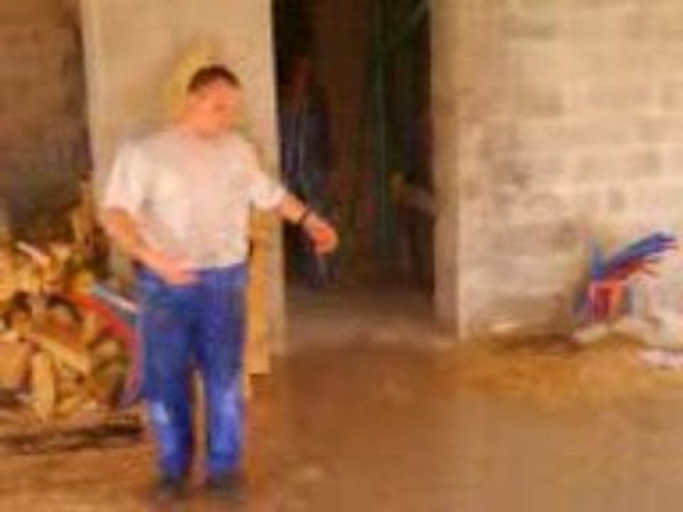 LE DANGER VIENT DANS HAUT