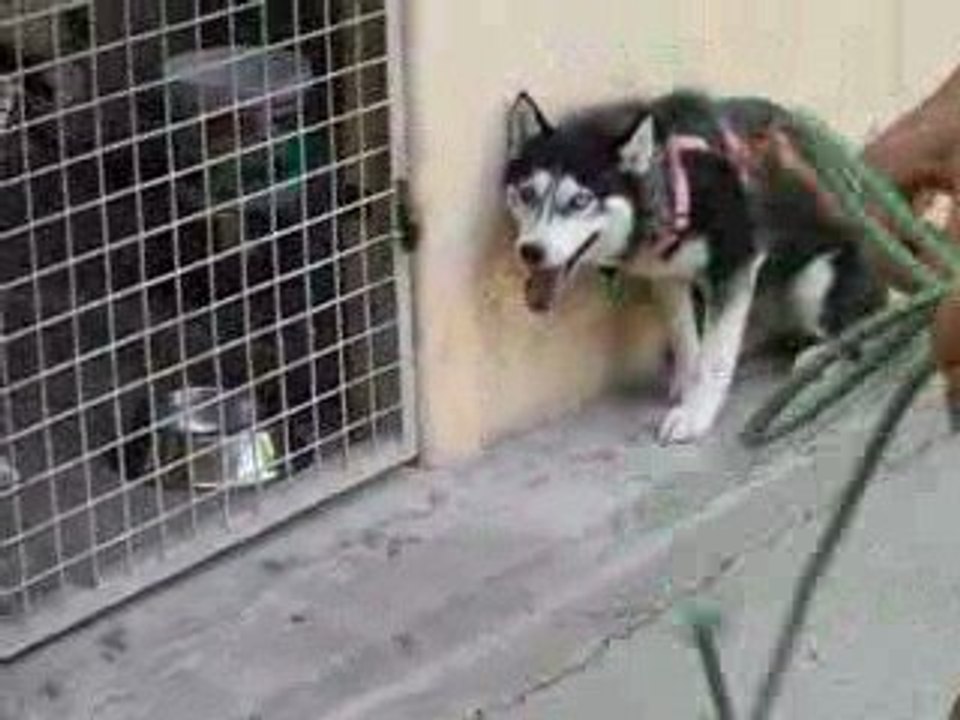 Winnie + nouveau harnais + corde 2