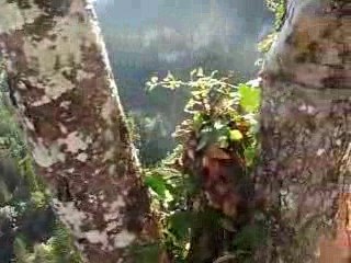 Les echelles de la Mort