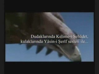 fatıh sultan mehmetın vefatındakı sır