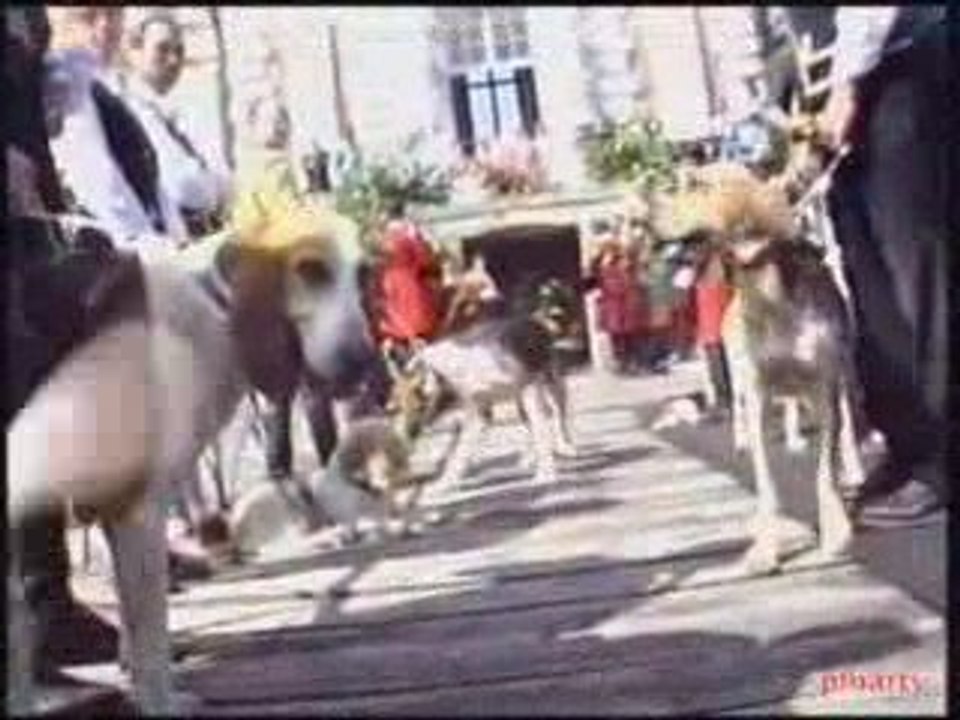 -Brèves 38- BANDE-ANNONCE -FÊTE DE LA VÉNERIE EN NORMANDIE-