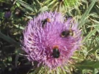 Un pomeriggio  a contatto con la natura