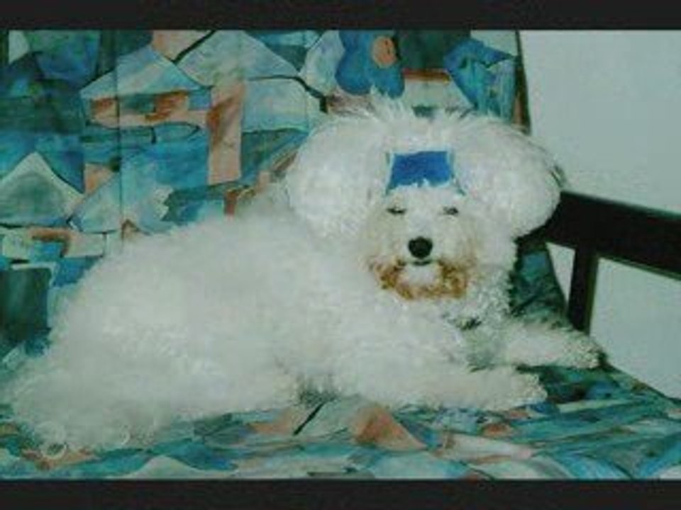 Frimousse video souvenir_0001