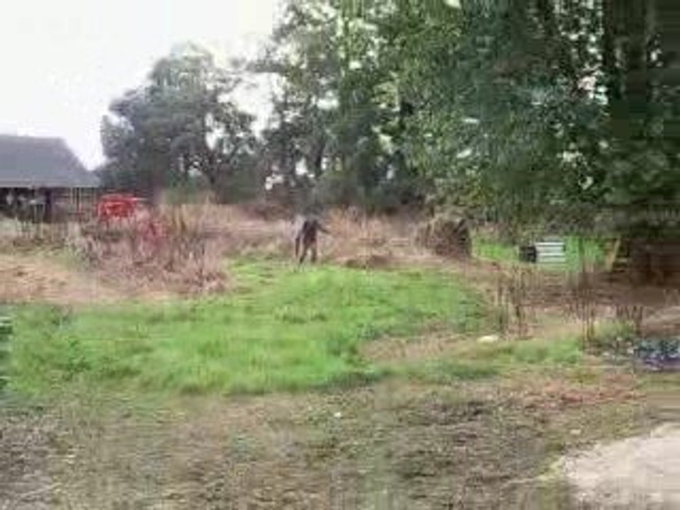 ADN 76 partie airsoft du 2 aout 2009 part 3