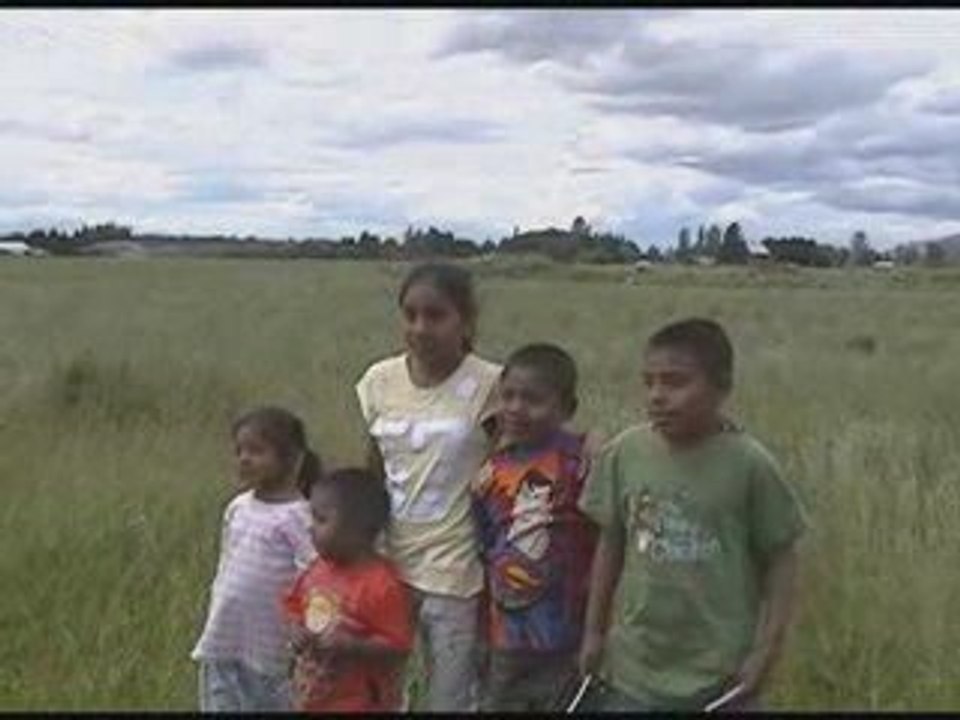 Migrant Update 2 Year Mark