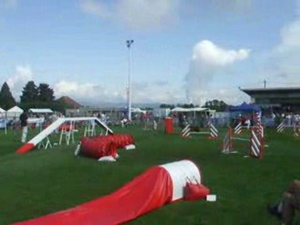 Auckland agility 2 trophée équipe