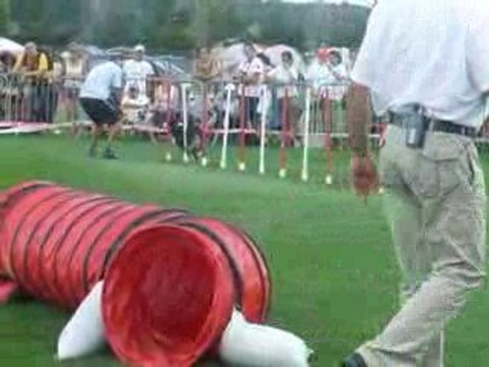 Aussie noir jump 2 trophée équipe