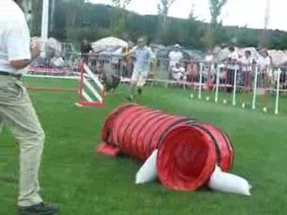 Australien bleu Jump 2 trophée équipe