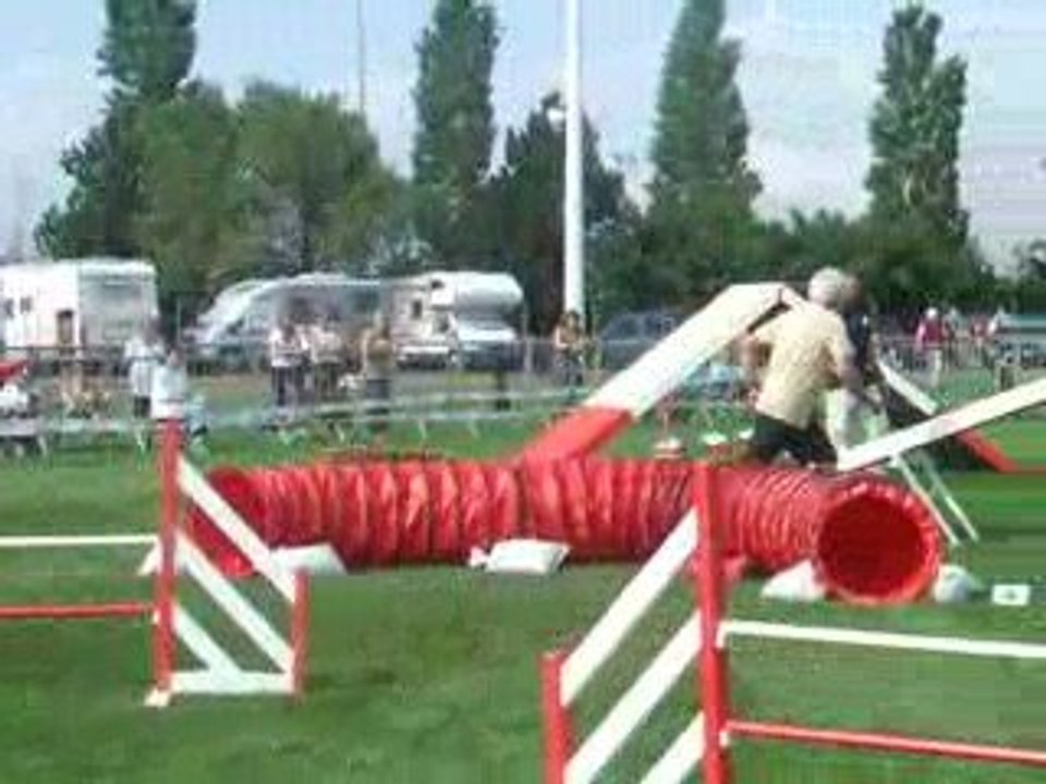 Kyran agility 2 trophée équipe