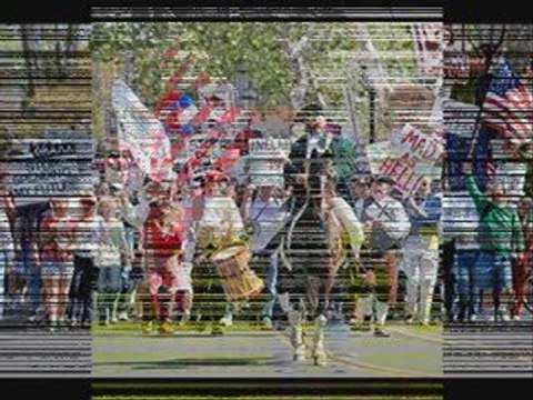 Gadsden Flag 1775 - Present Ron Paul Revolution