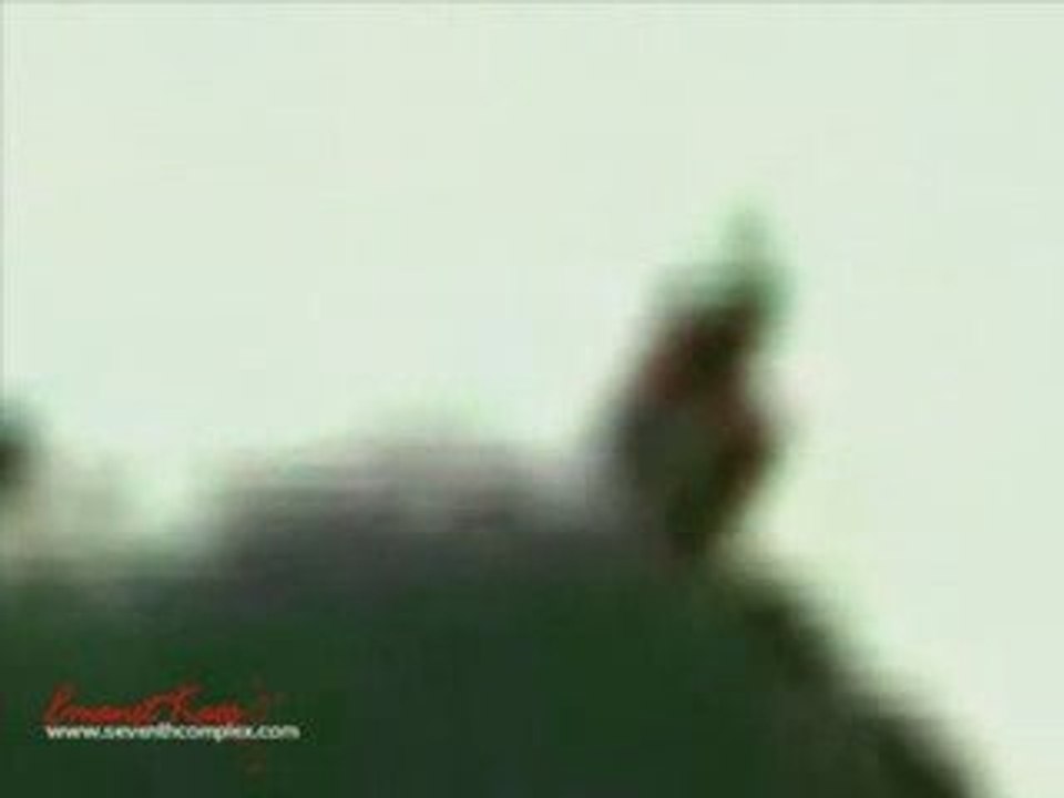 Mexican flying humanoid