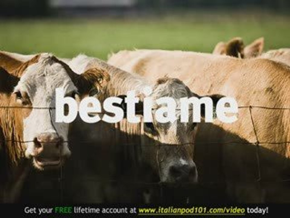 Learn Italian - Italian Farm Animals Vocabulary