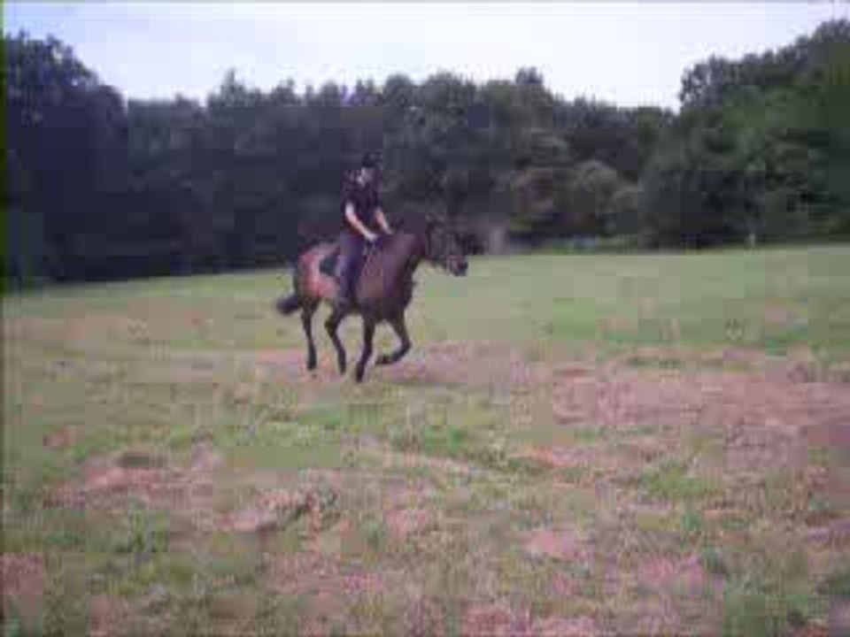 Nikita au saut monté