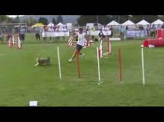 Curly Manche4 Finale TGR Montélimar 2009