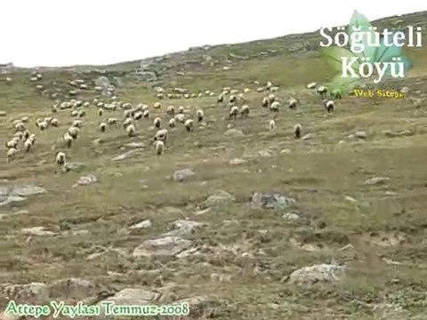 Attepe Yaylası Temmuz-2008