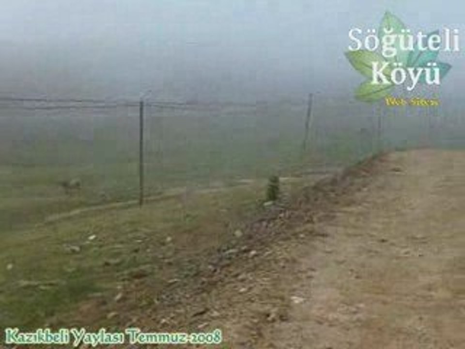 Kazıkbeli Yaylası Temmuz-2008