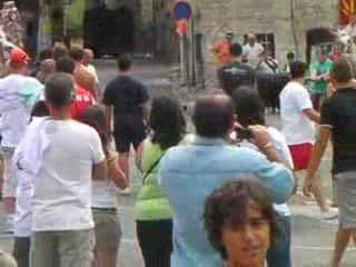 bandide aprés larriver a montfrin manade labouyrere