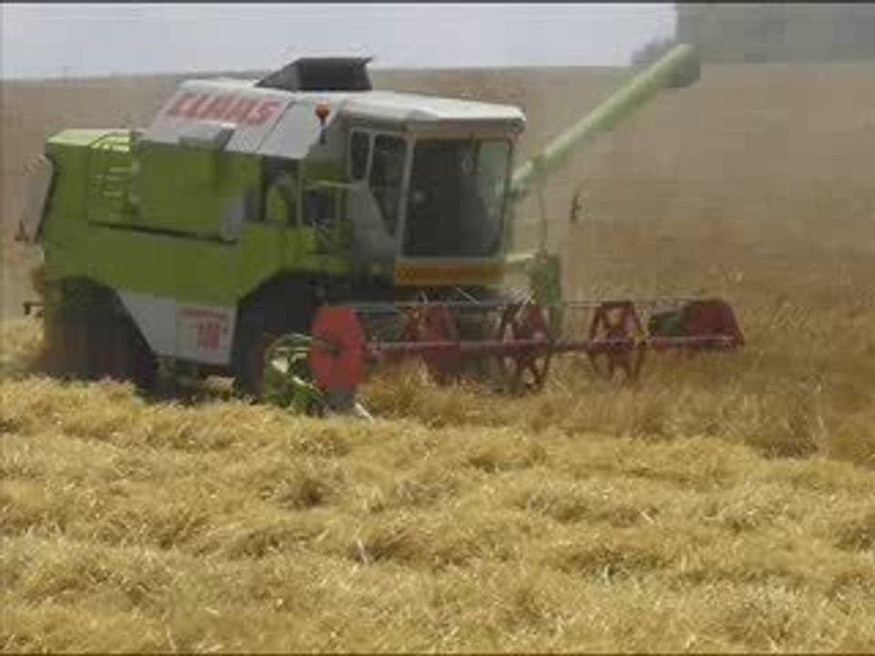 moisson 2009 dans le chatillonnais