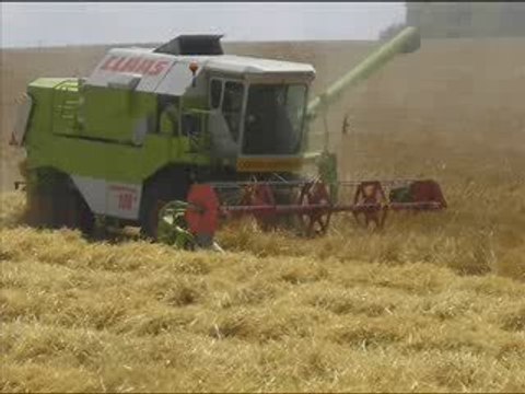 moisson 2009 dans le chatillonnais