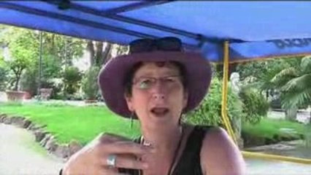 Community Facilitation: Groups Vs. Networks - Nancy White