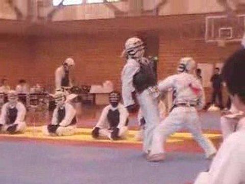 Nippon Kempo Fight