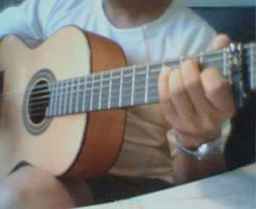 Le chanteur (D.Balavoine)
