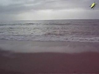 VERANO 2009. DESPERTAR  EN LA PLAYA