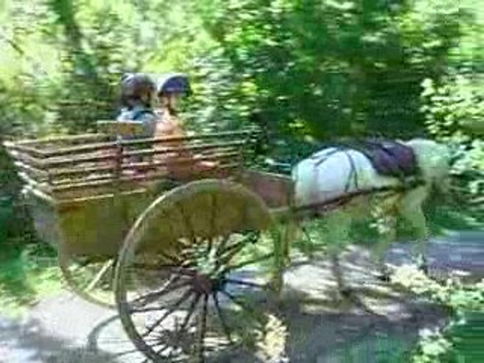 Montagnes et Crinières 002