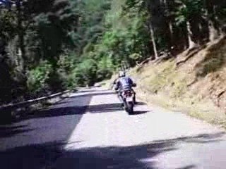 Sly chassed by daisybox - 3 épis