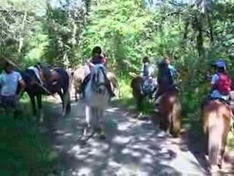 Montagnes et Crinières 004