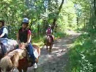 Montagnes et Crinières 005