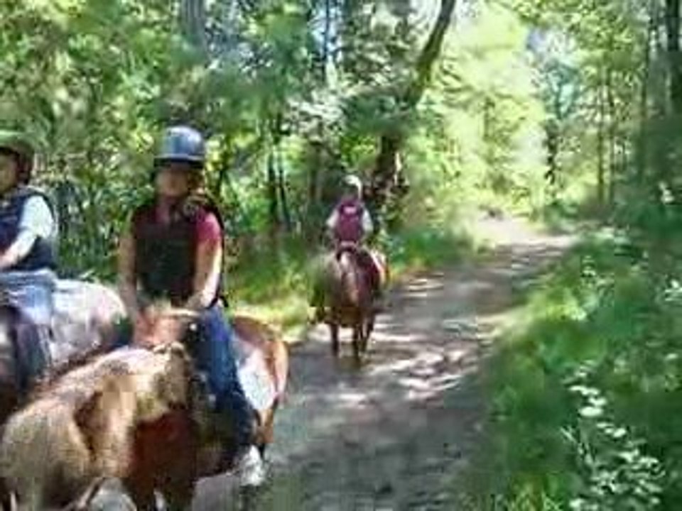 Montagnes et Crinières 005