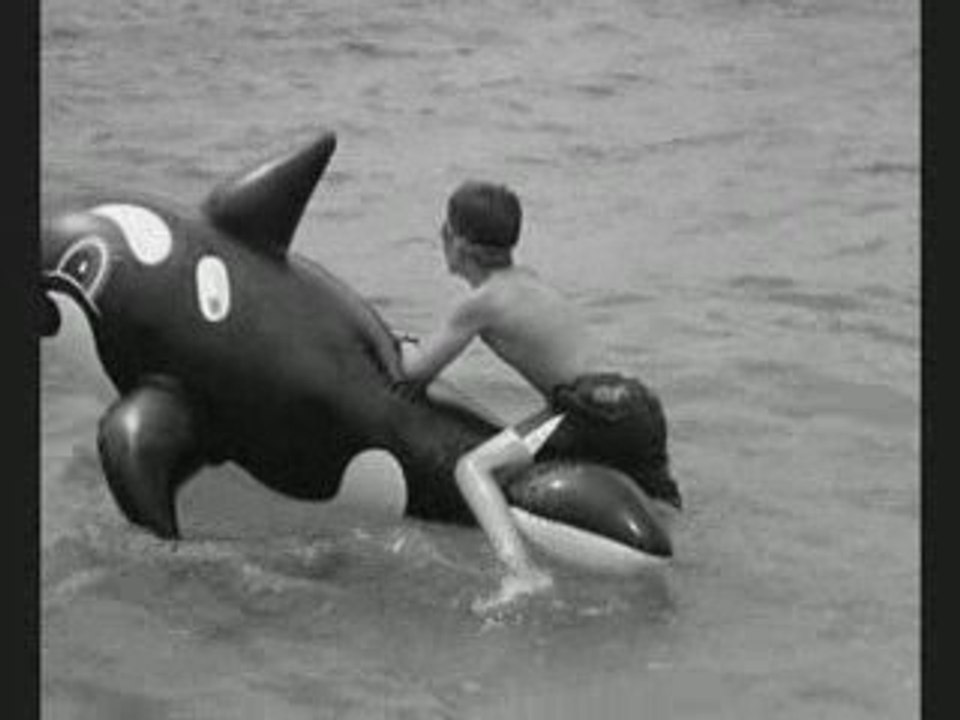 corse noir et blanc