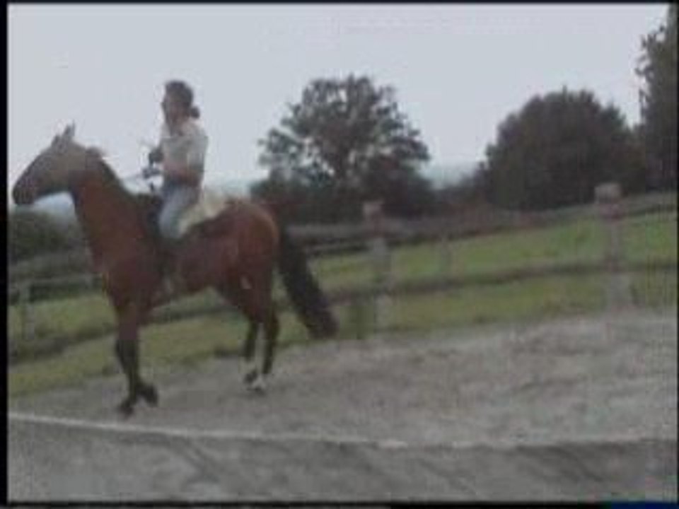 didi au ranch 1ers pas