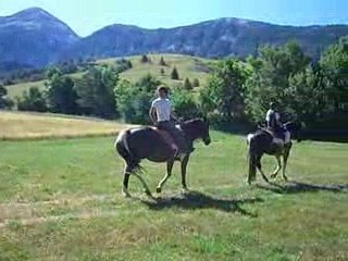 Montagnes et Crinières 007