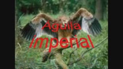 Parque Natural de la Sierra de Aracena y Picos de Aroche