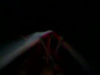 Ornithopter mechanism